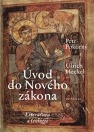 Úvod do Nového zákona - Ulrich Heckel,Petr Pokorný