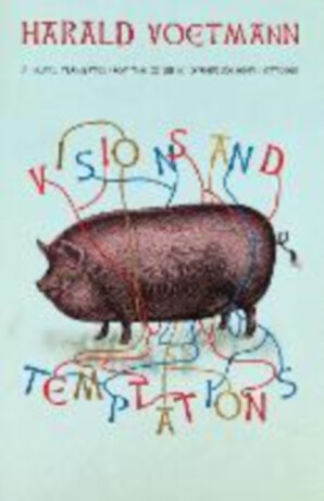 Visions and Temptations - Harald Voetmann