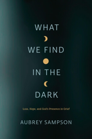 What We Find in the Dark - Aubrey Sampson