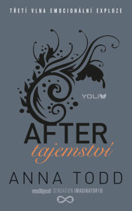 After: Tajemství Anna Todd